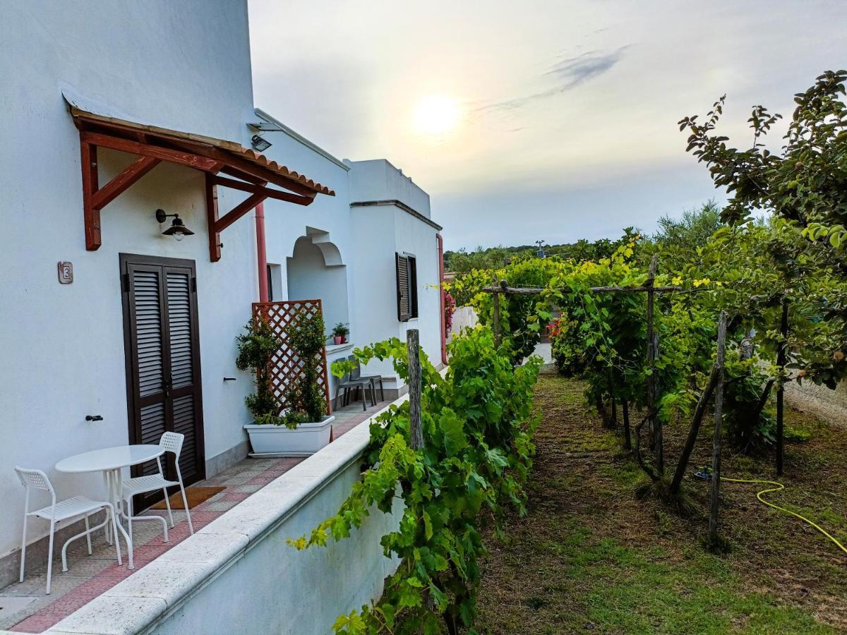 Il Giunco B&B Vieste Exteriér fotografie