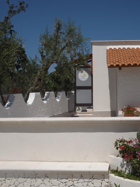 Il Giunco B&B Vieste Exteriér fotografie