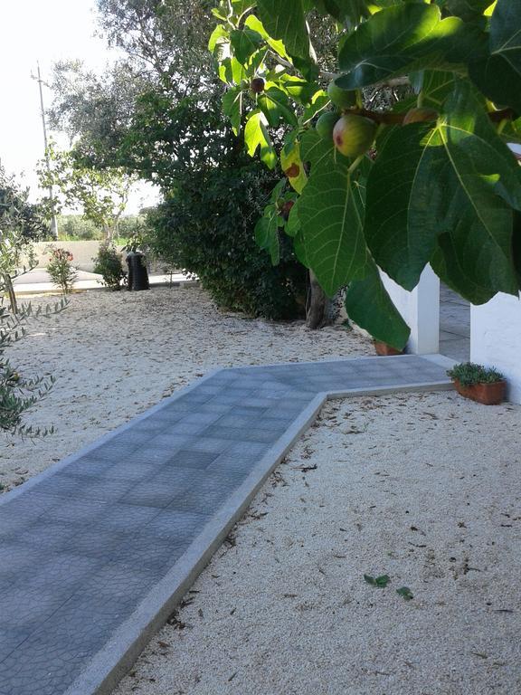 Il Giunco B&B Vieste Exteriér fotografie